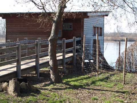 Altrheinsee bei Eich