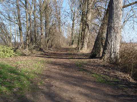 Rundweg Altrheinsee zum Kukuk