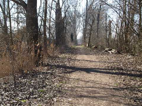 Altrheinsee Eich, Rundweg