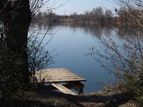 Altrheinsee Eich