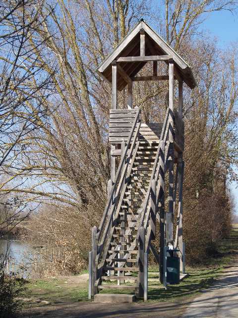 Beobachtungsturm Altrheinsee Eich