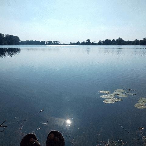 Altrheinsee Eich, See zum Kukuk