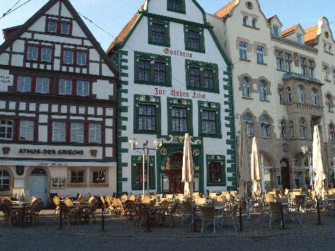 Erfurt Hohe Lilie am Domplatz