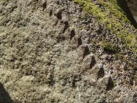 Granit Odenwald, Evolventenfräsung