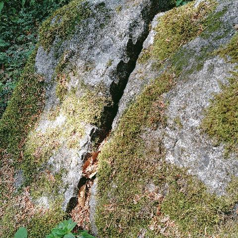 Granit im Odenwald, Trennschnitt