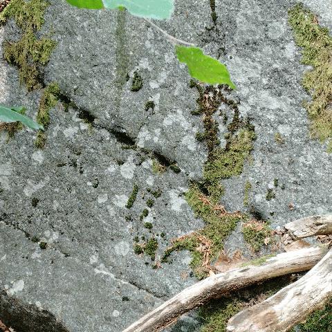 Granitblock im Odenwald, Trennschnitt